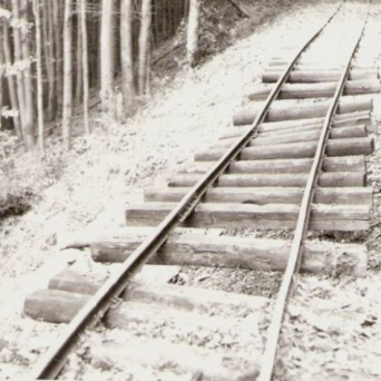 Úzkorozchodná železnica Zábroď – Ulič – Nová Sedlica